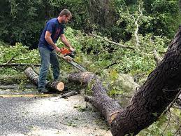 Best Lawn Grading and Leveling  in Lockeford, CA